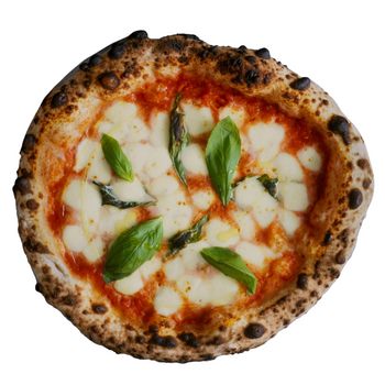 MARGHERITA
